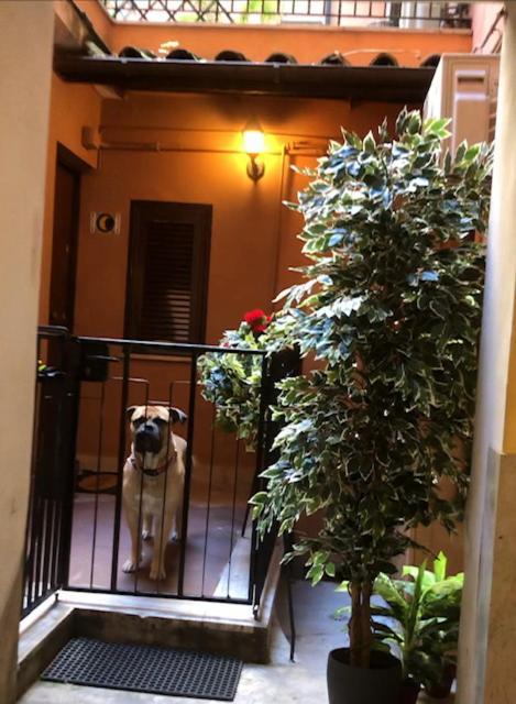 Appartamento Chez Moi - Cinzia Roma